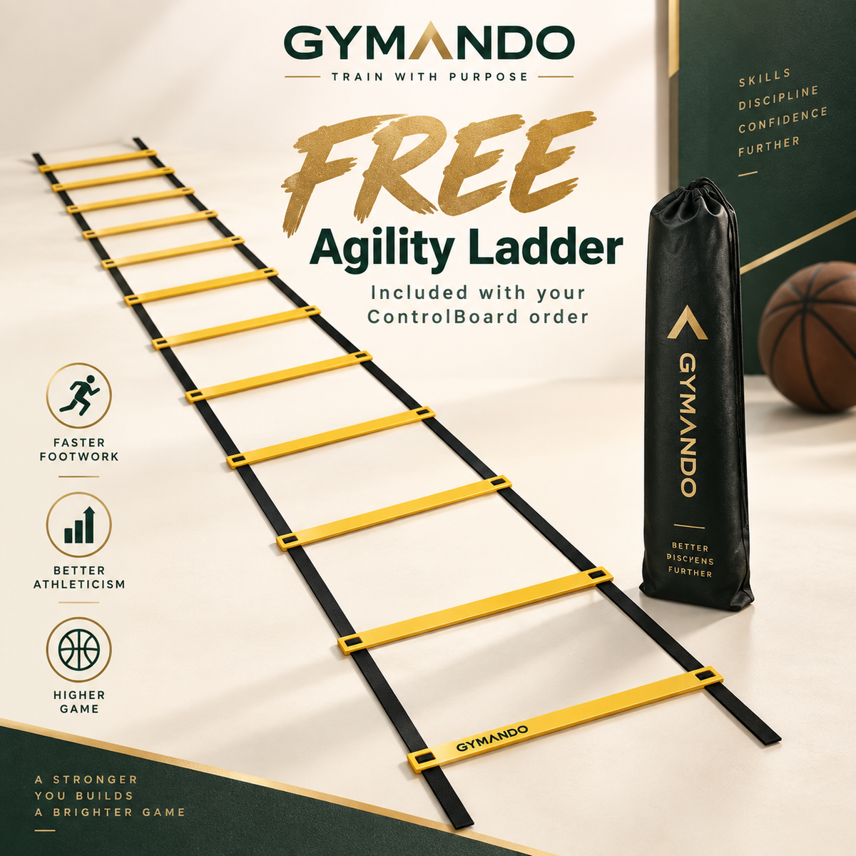 Mini Agility Ladder
