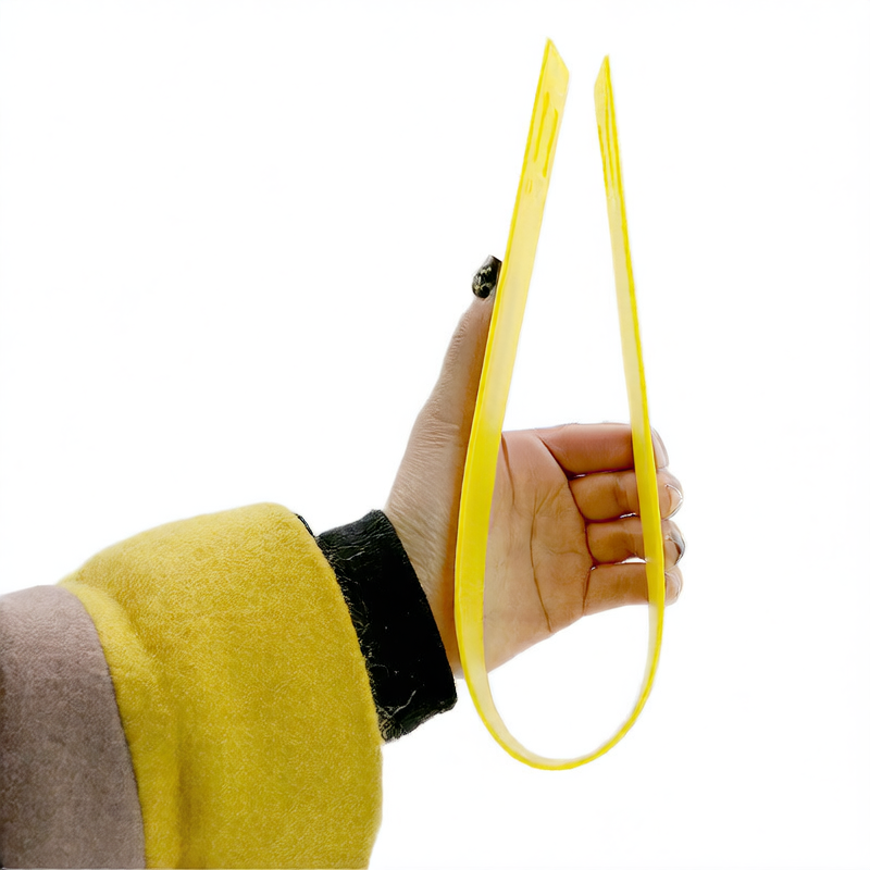Mini Agility Ladder